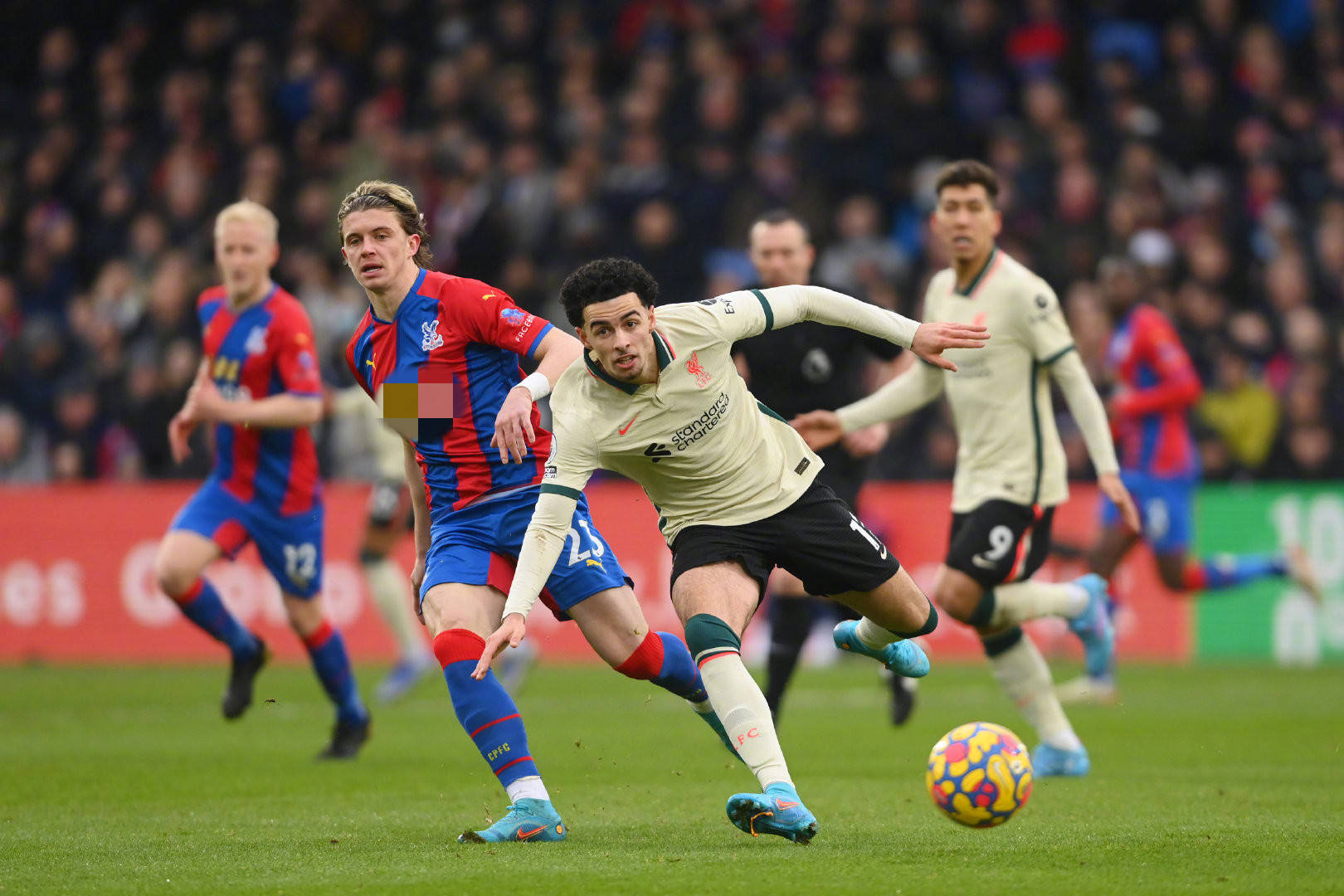 们熟练的传 们熟练的传